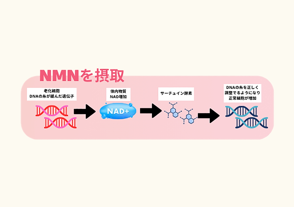 イメージ画像